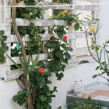 Village Апартаменты Херсониссос