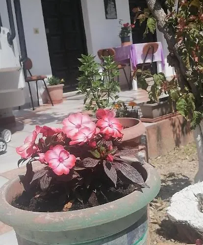 Village Apartamento *