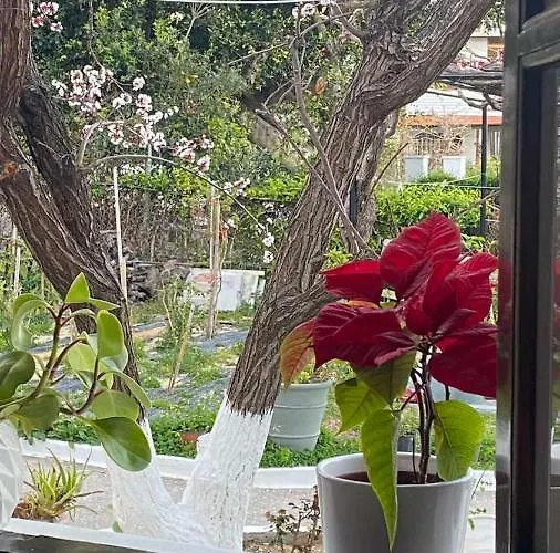 Village Appartamento