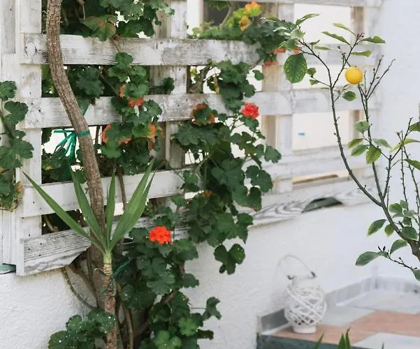 Village Apartment Hersonissos (Crete)